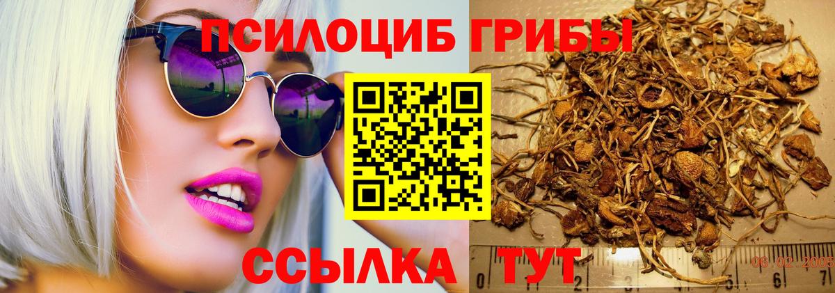 Галлюциногенные грибы мухоморы  Вход с VPN  Гулькевичи  Галлюциногенные грибы мухоморы 